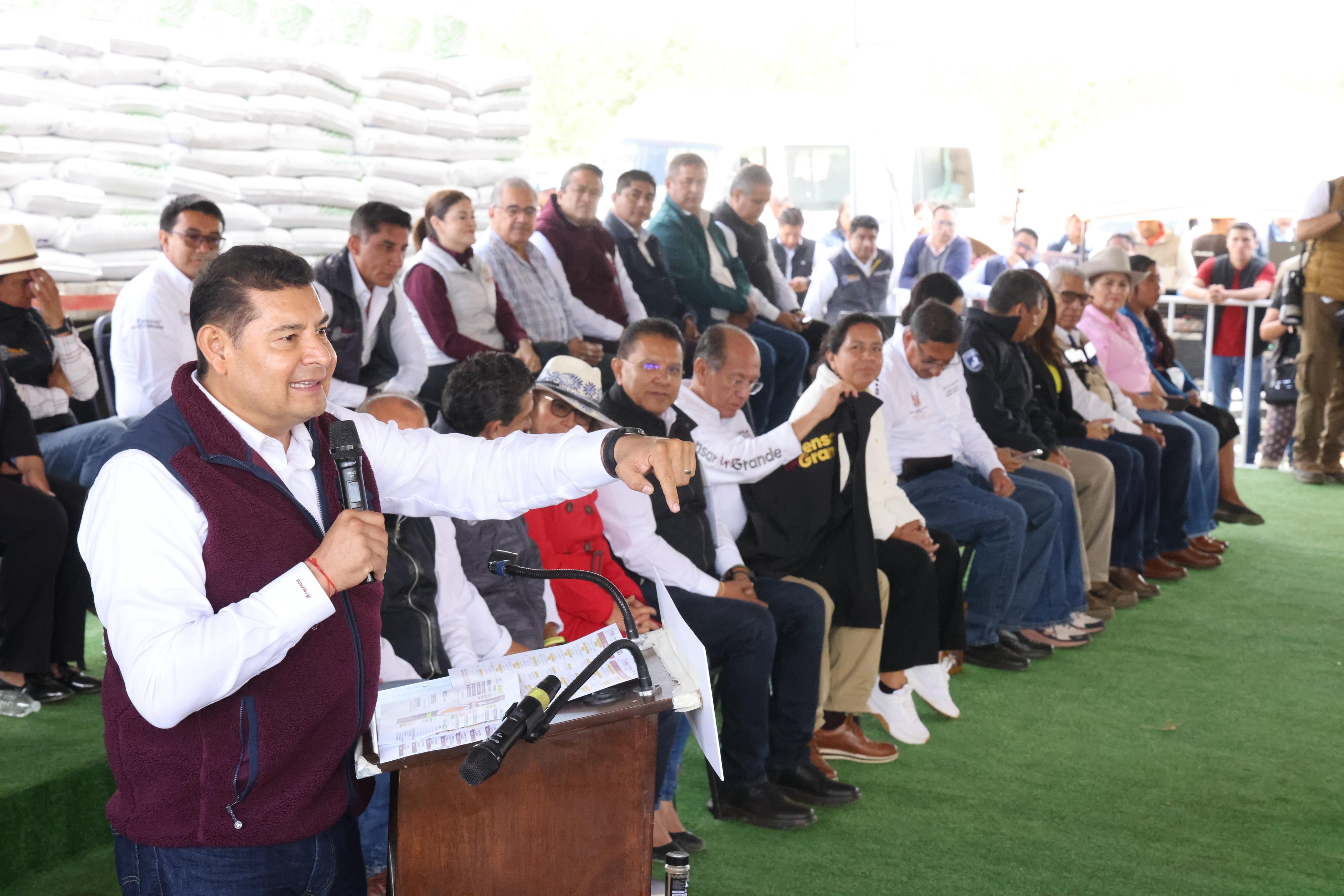 Puebla lanza Plan de Reforestación 2025 con 1.7 millones de árboles para regenerar ecosistemas
