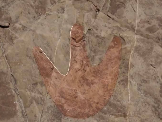 INAH analiza posibles huellas de dinosaurio en el Valle de Tehuacán