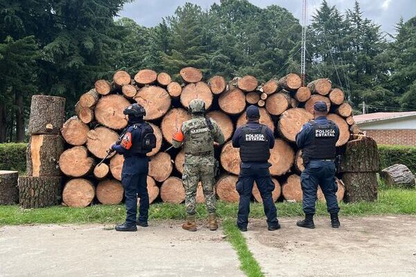 Aseguran más de 130 piezas de madera talada ilegalmente en Puebla y Tlaxcala