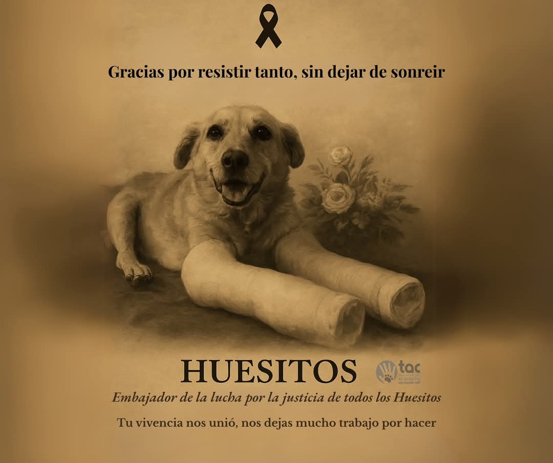 Caso “Huesitos” avanza a juicio oral: presunto agresor enfrentará proceso en Puebla