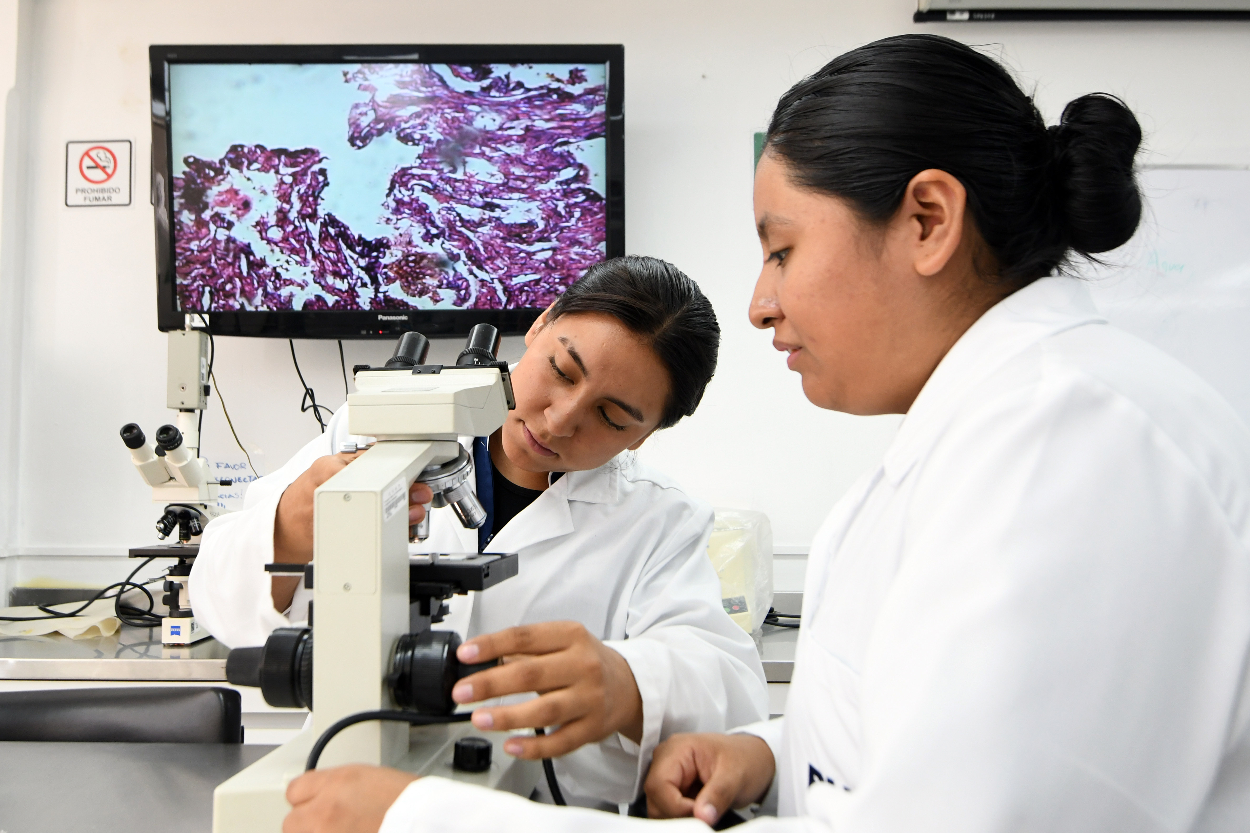 Facultad de Enfermería BUAP lidera investigación en la región centro-sur con 14 integrantes del SNII