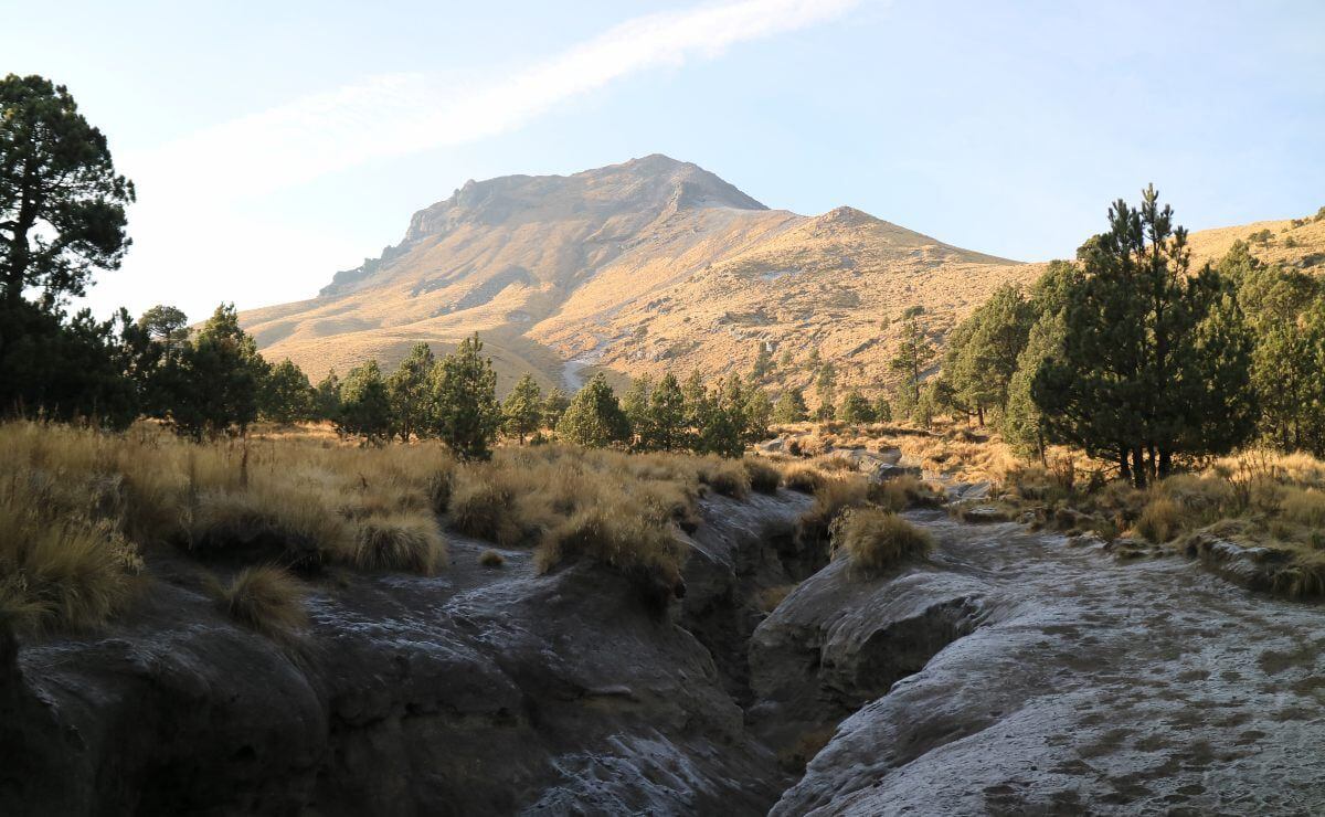Semarnat da luz verde al Ecoparque La Malinche
