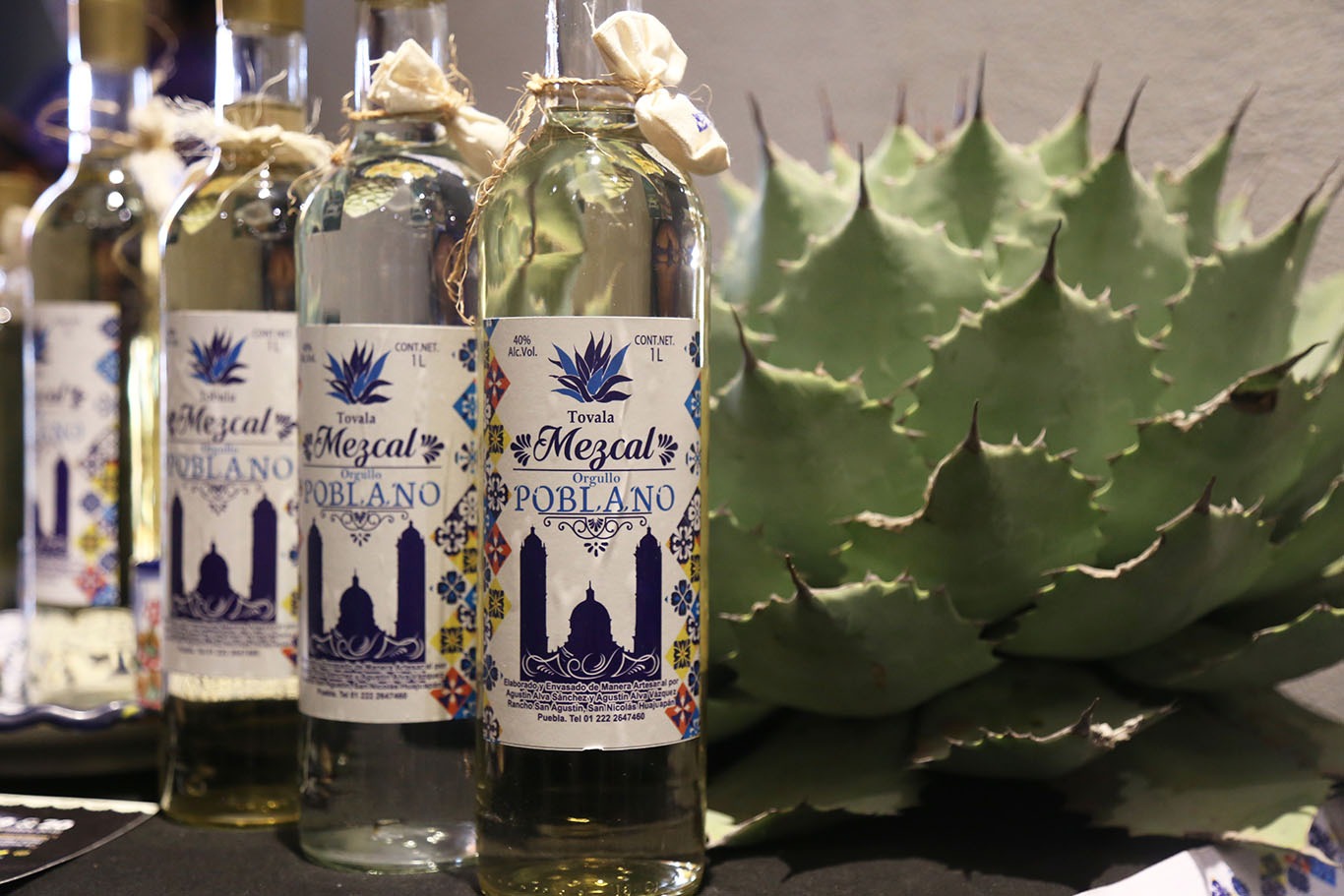 Puebla apuesta por duplicar su producción de mezcal rumbo a 2030