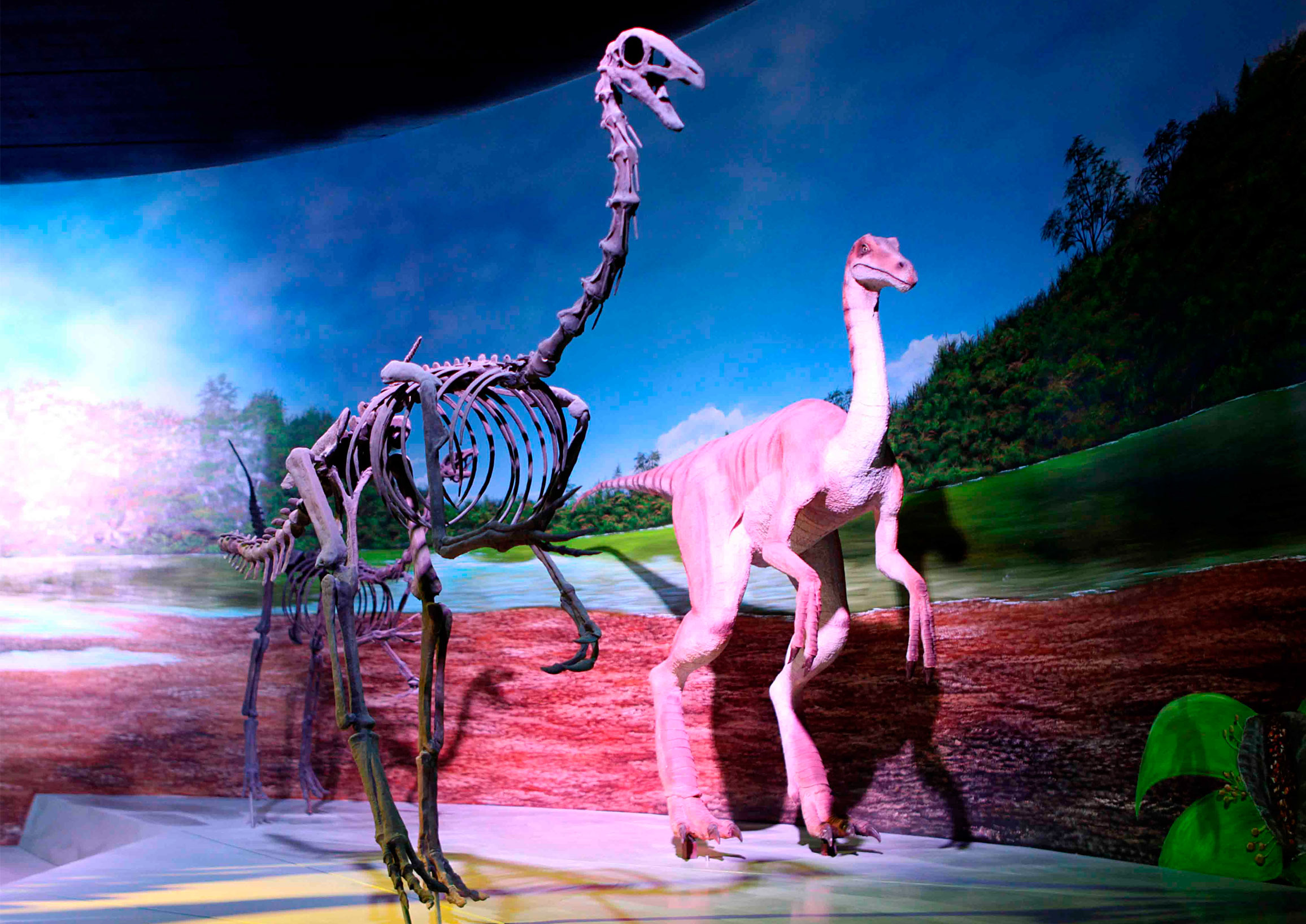 Museo de la Evolución Puebla cumple 10 años como uno de los principales referentes de paleontología y biodiversidad en México