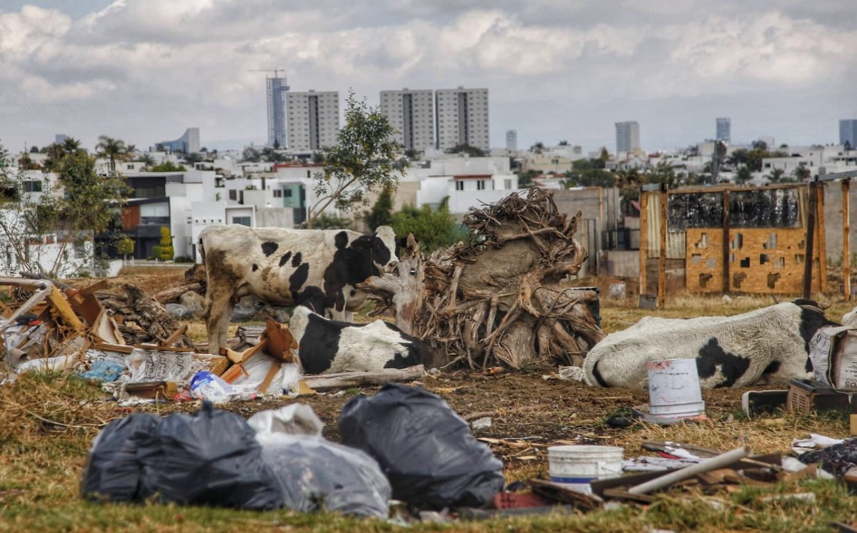 Armenta acusa abandono histórico del PAN y defiende inversión pública en Puebla