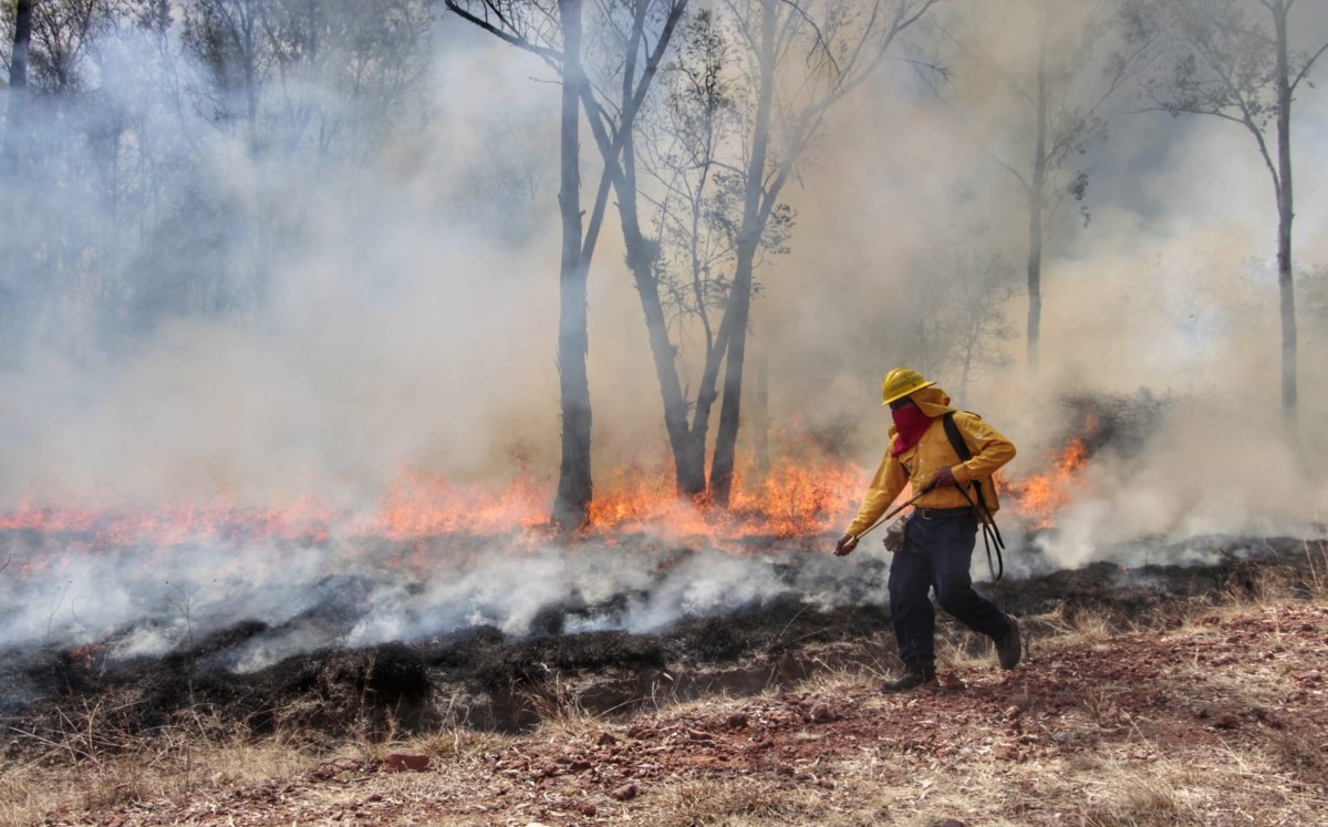 Puebla redujo 68% la afectación forestal por incendios en 2025