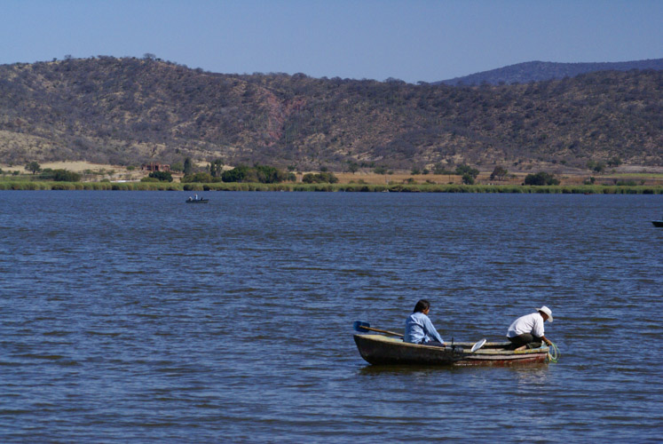 Puebla tendrá cuatro ecoparques: Infraestructura confirma avances y nueva obra en Epatlán