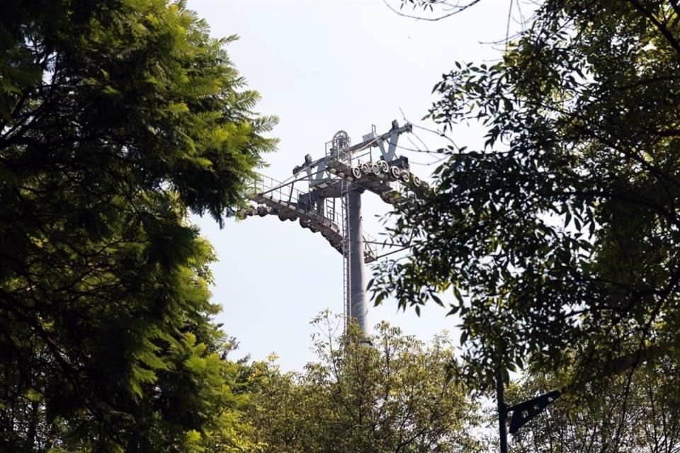 Gobierno de Puebla sostiene que no habrá tala por el Cablebús; 746 árboles replantados y 10 mil nuevos ejemplares