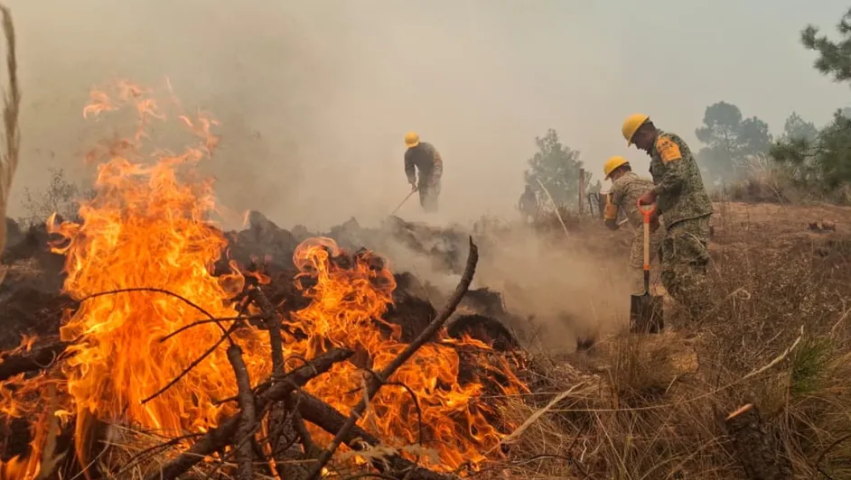 Armenta anuncia vivero para la Sierra Negra tras supervisión de incendio; suman 150 hectáreas afectadas