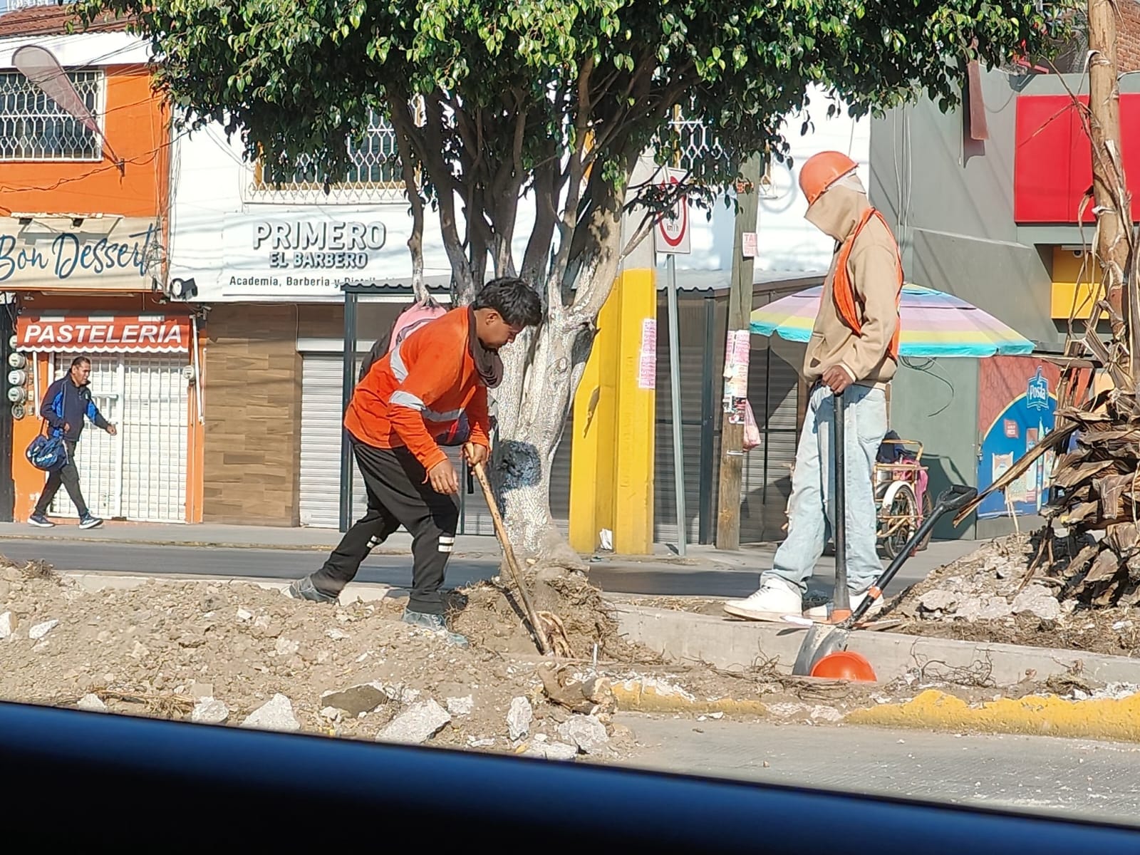Gobierno de Puebla investigará tala ilegal de árboles en Calzada Zaragoza