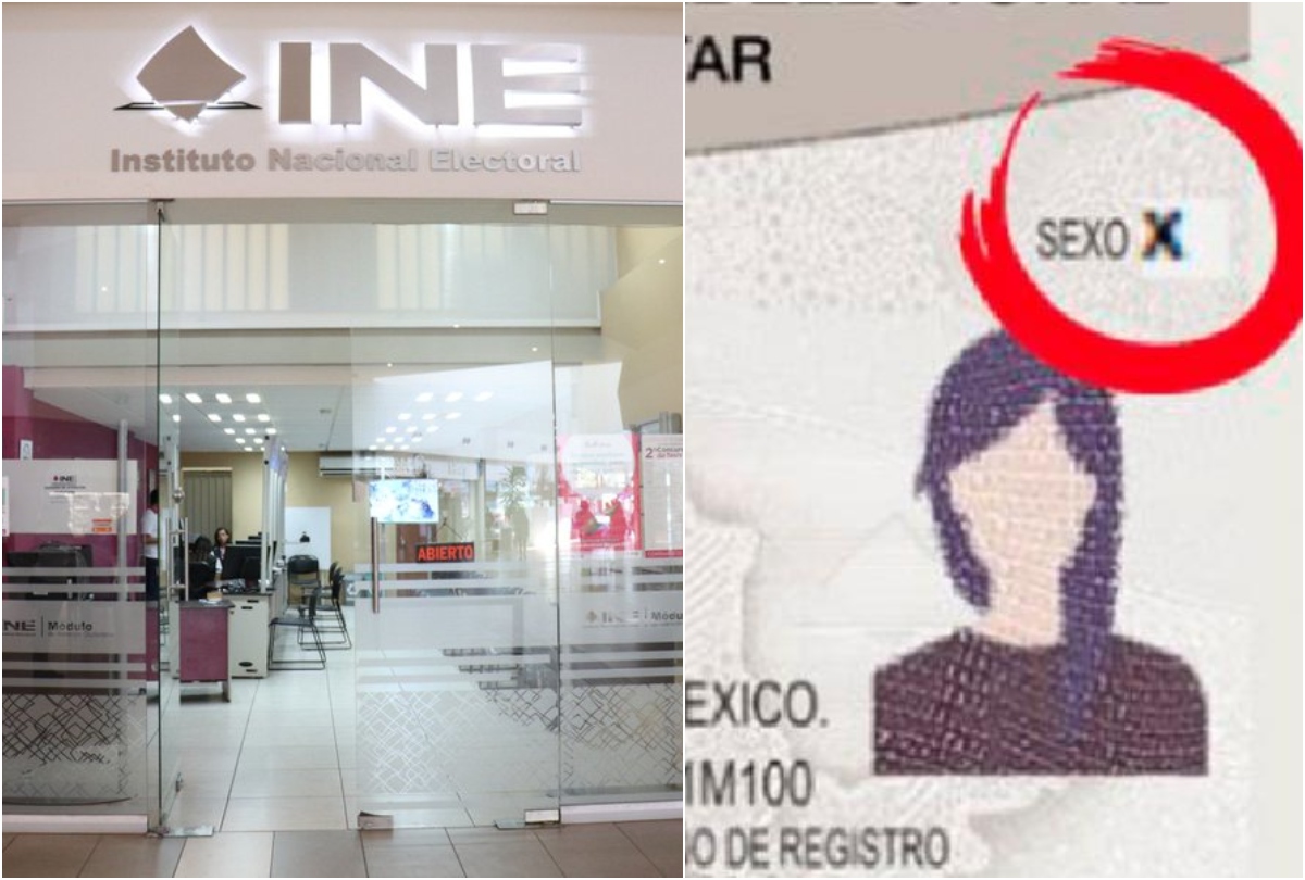 INE avala incluir identidad de género y autoadscripción indígena en credencial para votar