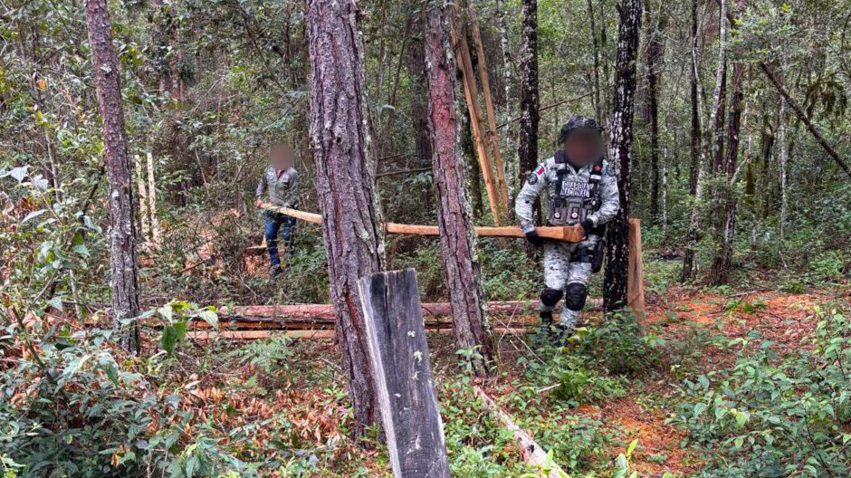 Senado aprueba ampliar funciones de la Guardia Nacional para proteger bosques y áreas naturales