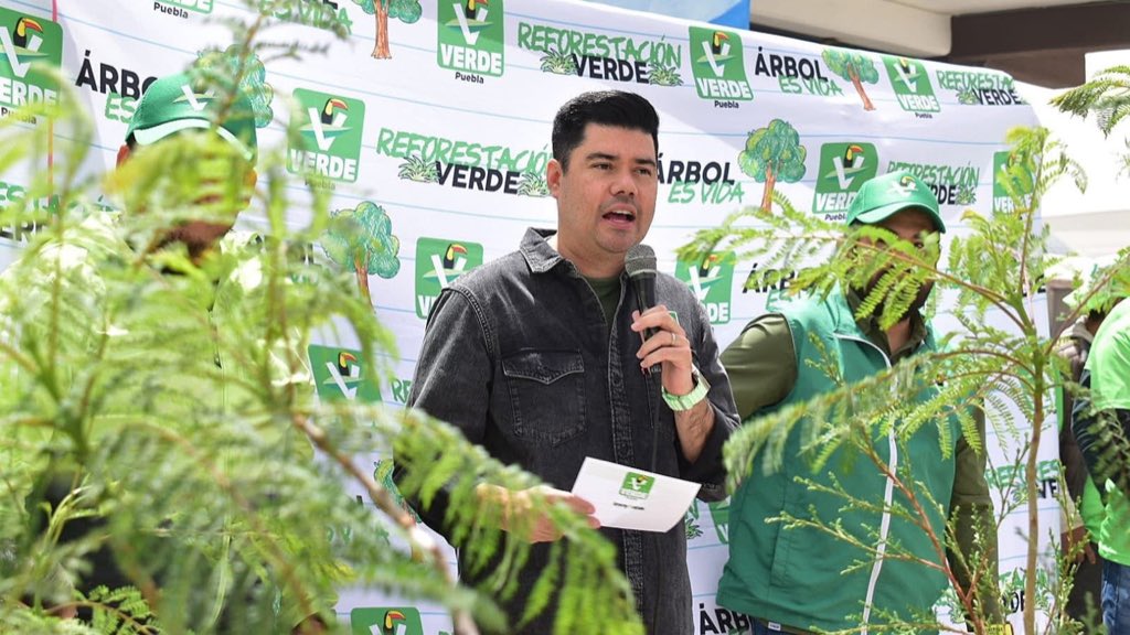 Sin pases directos: Jimmy Natale abre la reelección en el PVEM para 2027 bajo evaluación