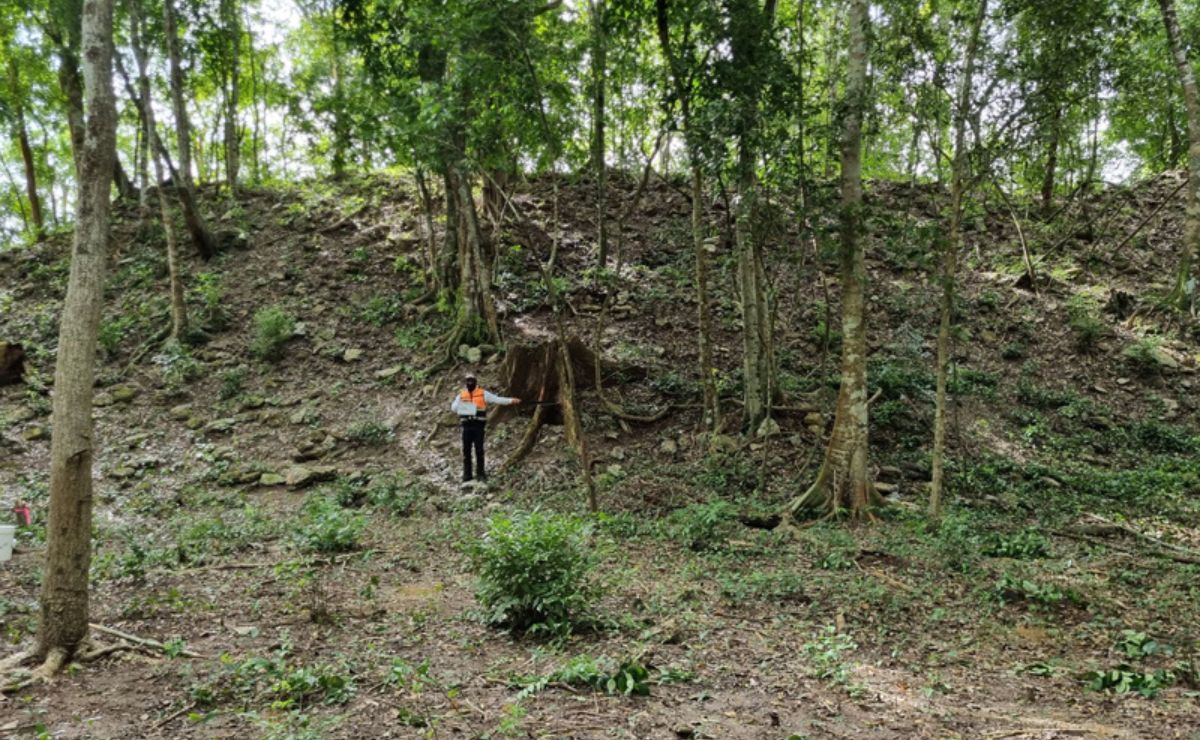 Descubren ciudad maya monumental en Quintana Roo; tendría más de 1,500 años