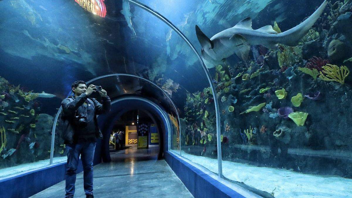 Qué hacer en Puebla este fin de semana: conciertos, ferias, museos y actividades para celebrar a los maestros