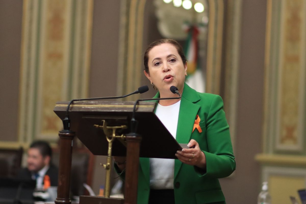 Norma Sirley Reyes asumirá diputación federal tras salida de Ballesteros a Medio Ambiente en Puebla