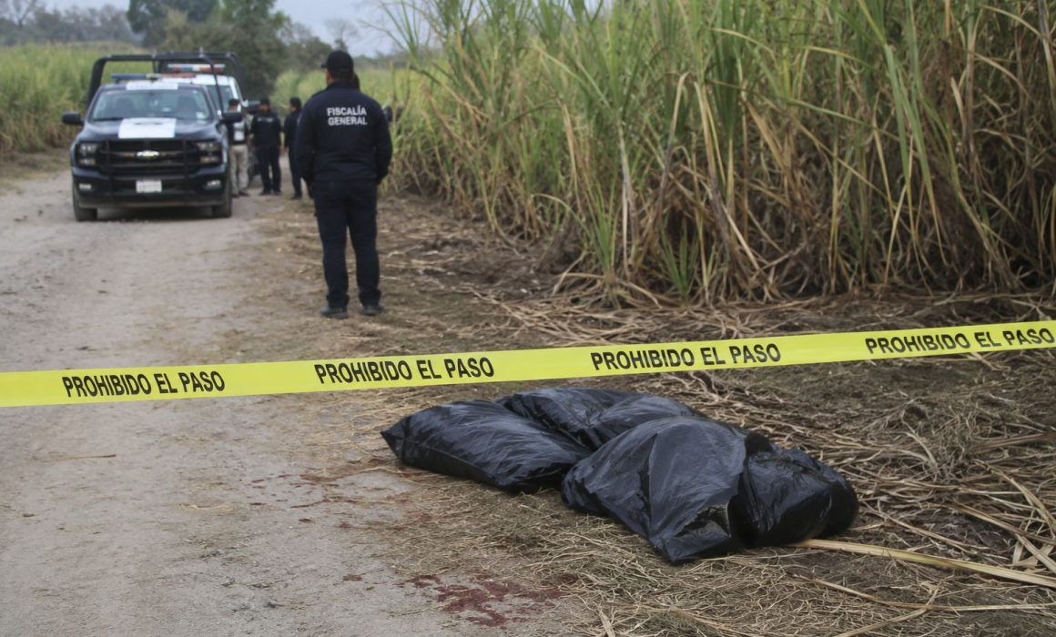 Hallan restos humanos embolsados en cañaverales de Villa de Atencingo, Chietla